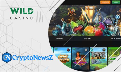 CryptoWild Casino Review (2024) .